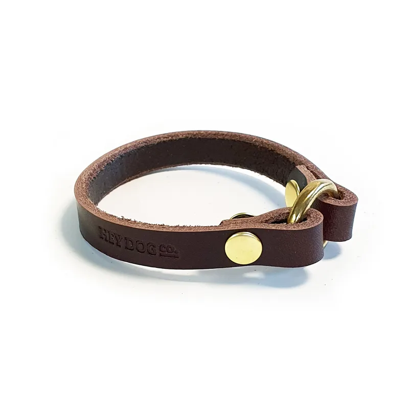 Choco ID collar — HEY DOG Co.
