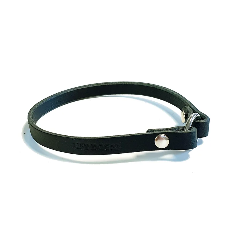 Night ID collar — HEY DOG Co.