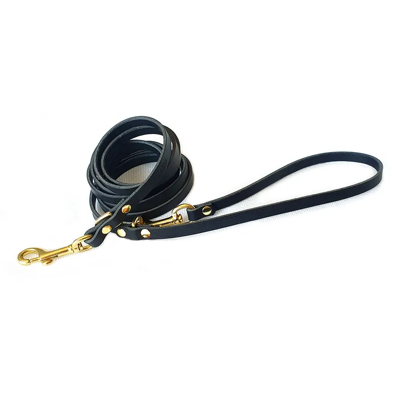 Night adjustable leash — HEY DOG Co.
