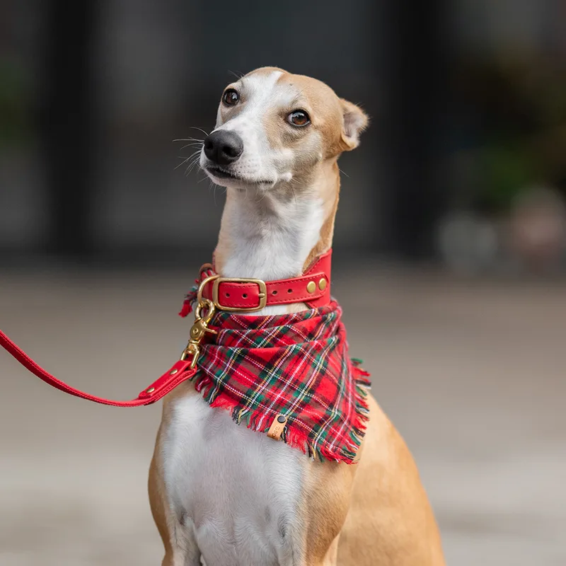 Christmas Bandana (red and green) — HEY DOG Co.