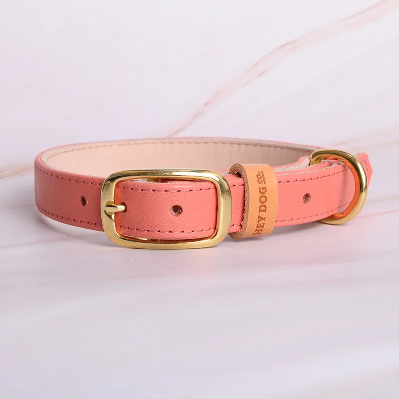 Sweet Coral — HEY DOG Co.