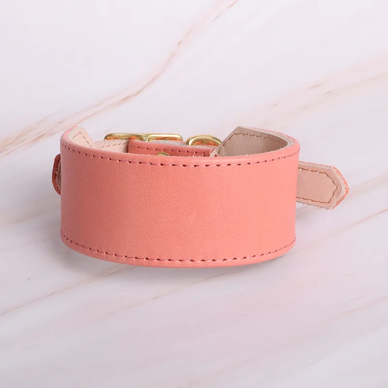 Sweet Coral greyhound collar — HEY DOG Co.