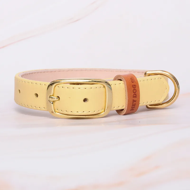 Desert Sand — HEY DOG Co.