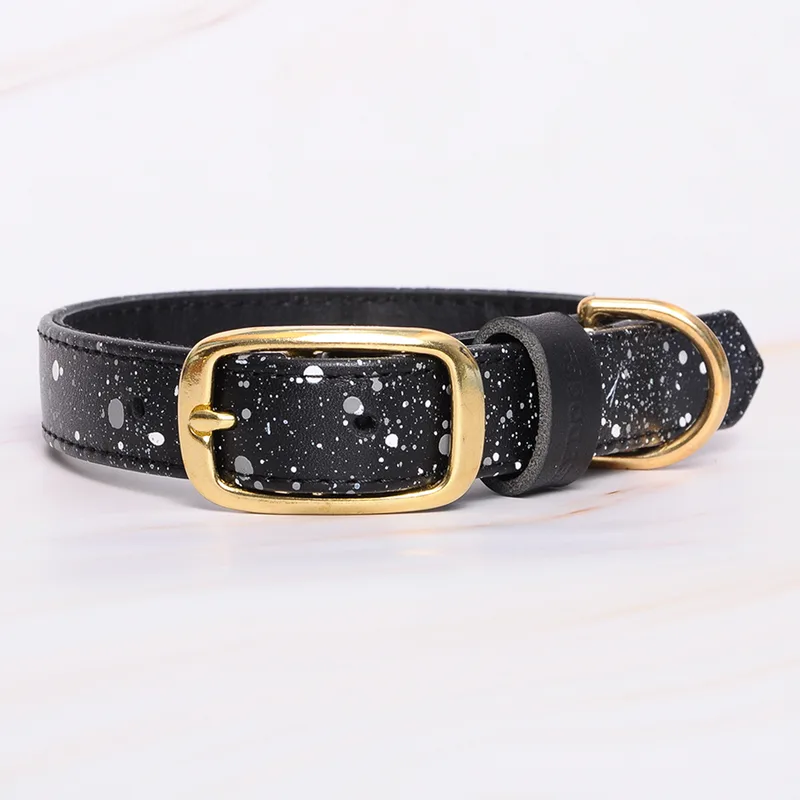 INTERGALACTIC COLLAR — HEY DOG Co.