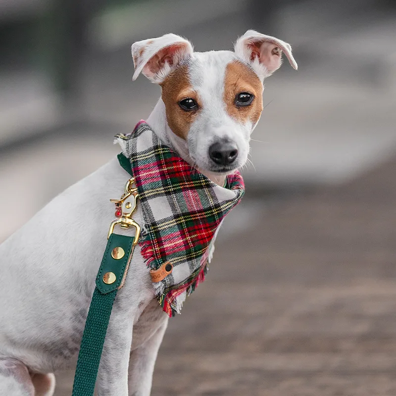Christmas Bandana (white, red and green) — HEY DOG Co.