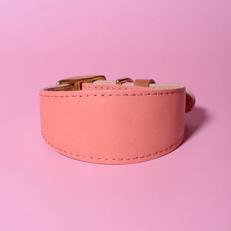 Sweet Coral classic greyhound collar — HEY DOG Co.