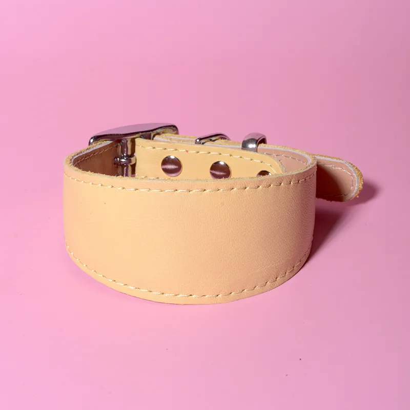 Desert Sand classic greyhound collar — HEY DOG Co.