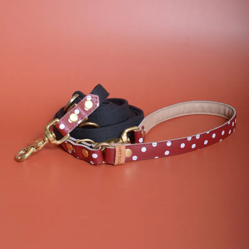 Red polka dot adjustable leash — HEY DOG Co.