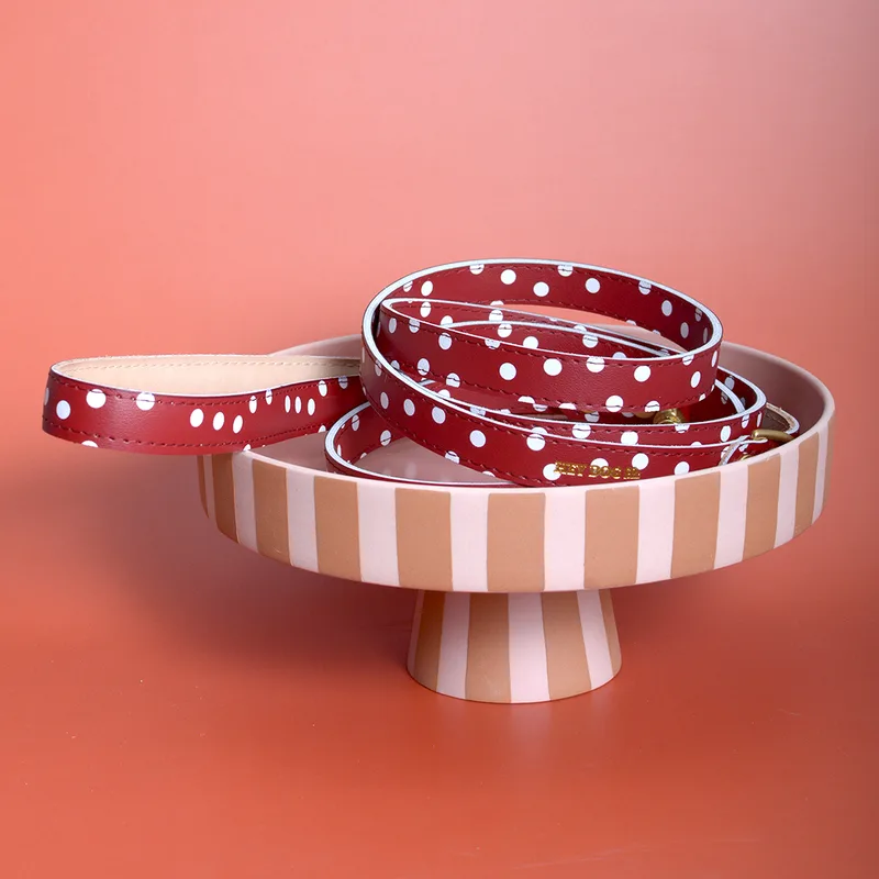 Red polka dot leather leash — HEY DOG Co.