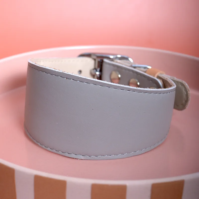 CHIA PUDDING collar (ellipse shape) — HEY DOG Co.
