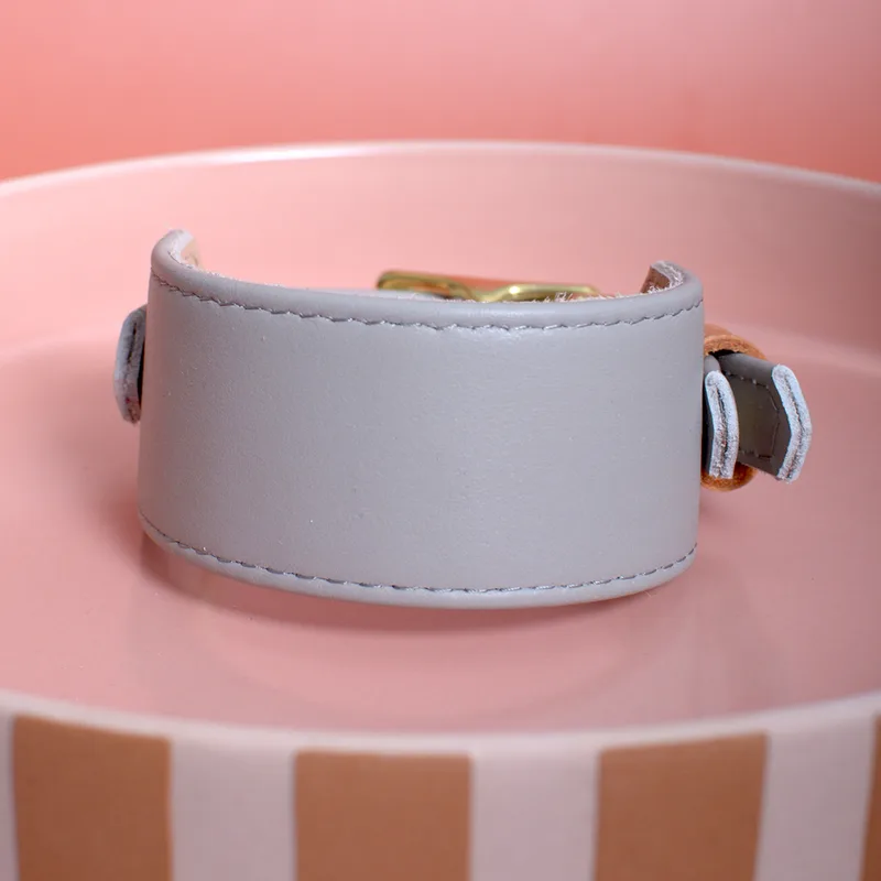 CHIA PUDDING wide collar — HEY DOG Co.