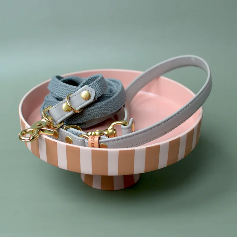 CHIA PUDDING adjustable leash — HEY DOG Co.