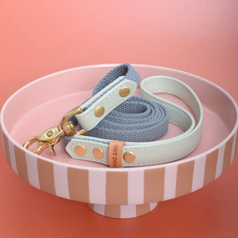 PISTACHIO CREME leash — HEY DOG Co.