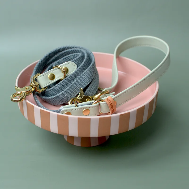 PISTACHIO CREME adjustable leash — HEY DOG Co.