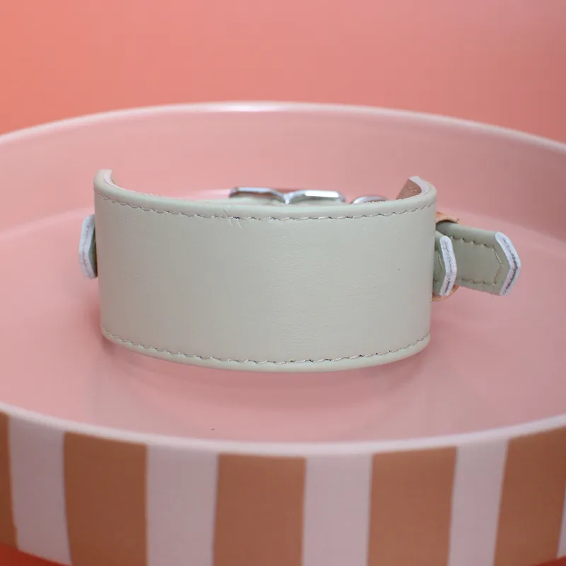 PISTACHIO CREME wide collar — HEY DOG Co.