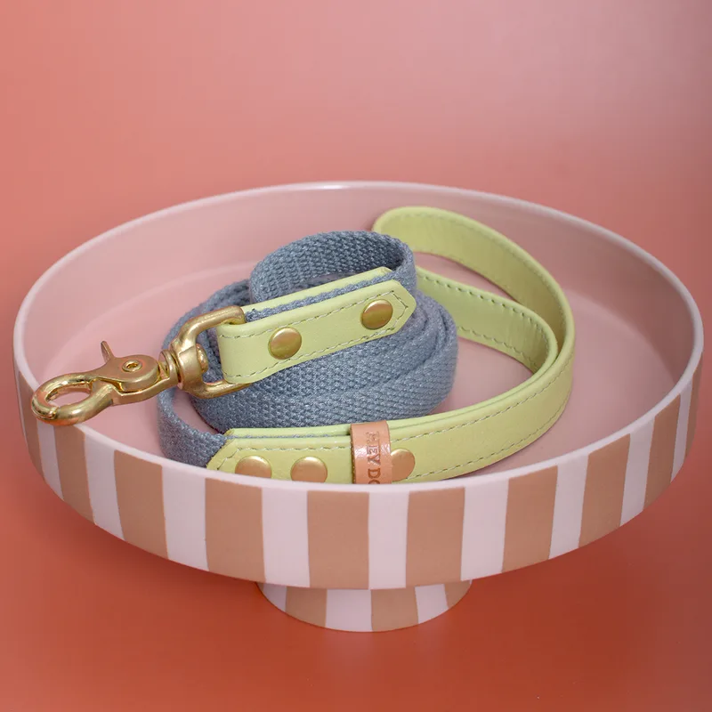 LIME CREME leash — HEY DOG Co.
