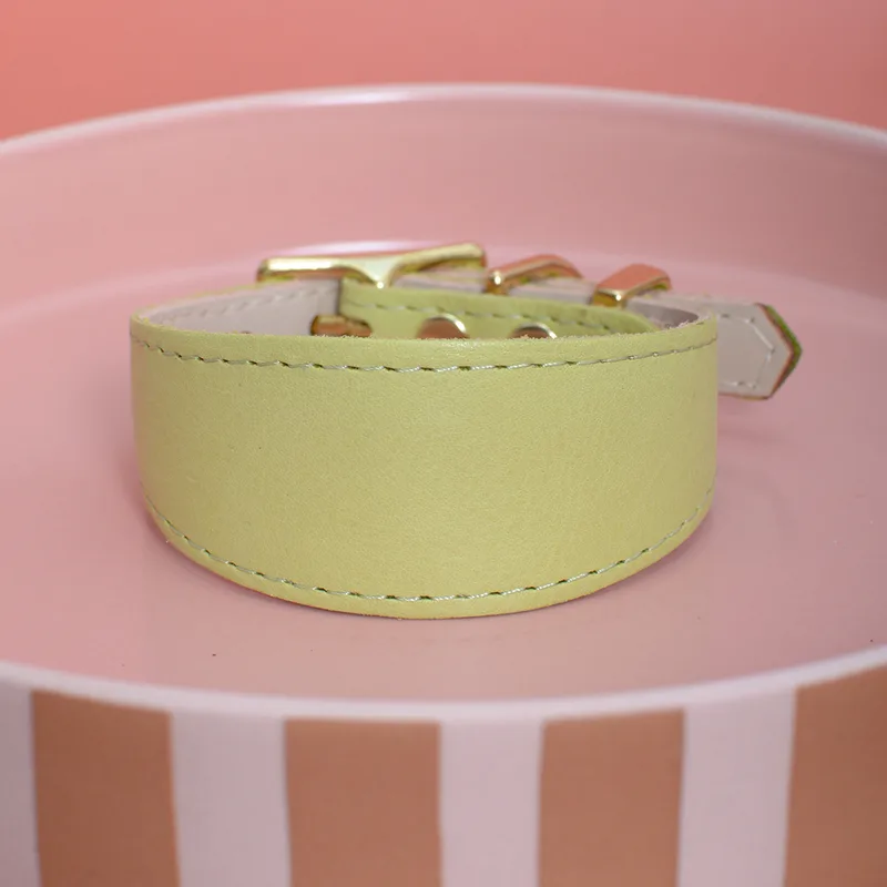 LIME CREME collar (ellipse shape) — HEY DOG Co.