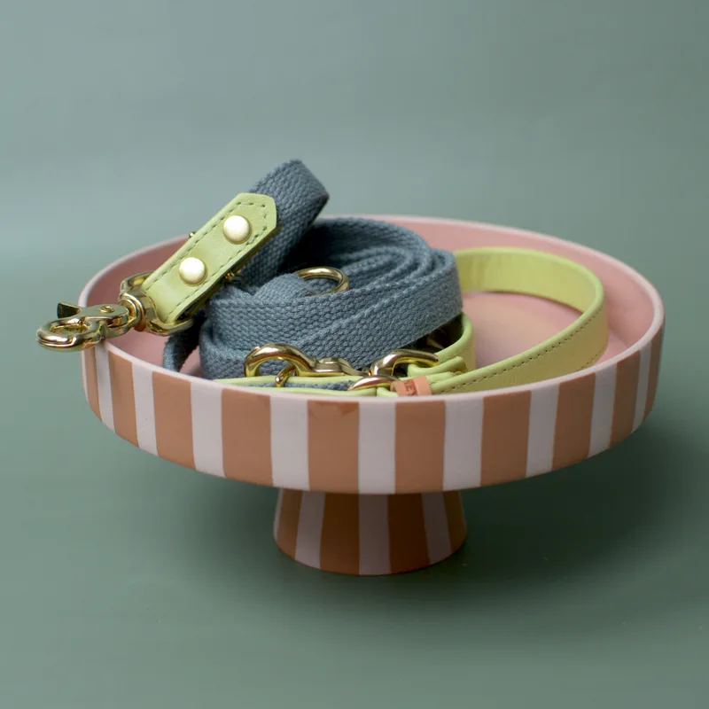 LIME CREME adjustable leash — HEY DOG Co.