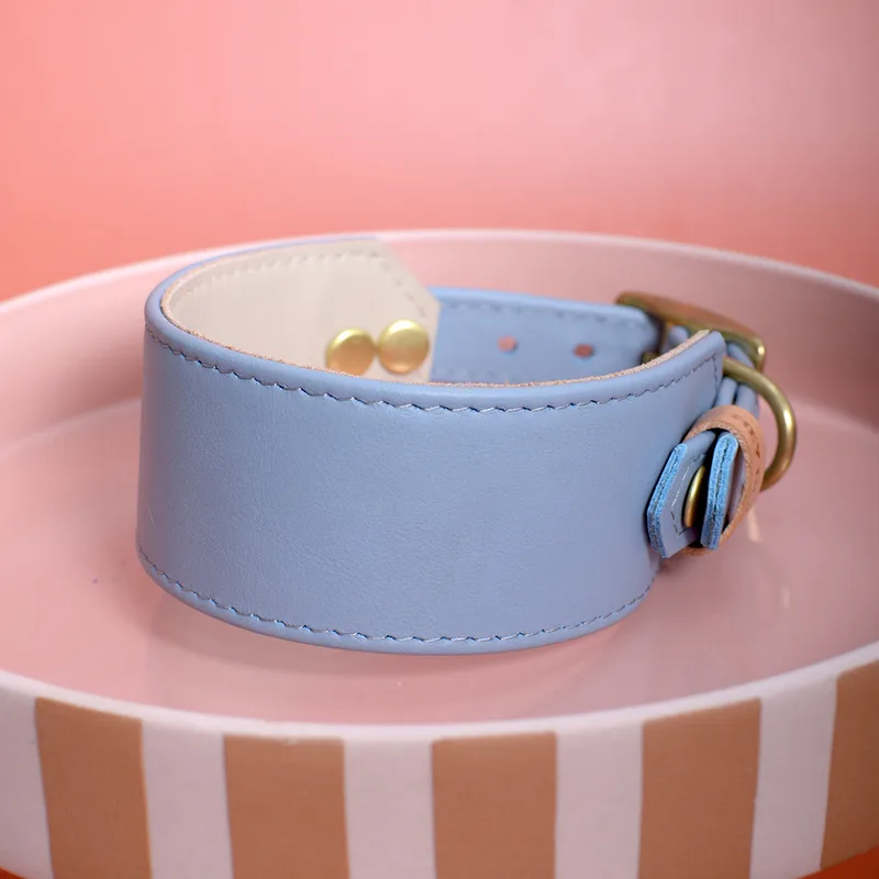 BLUE MATCHA wide collar — HEY DOG Co.