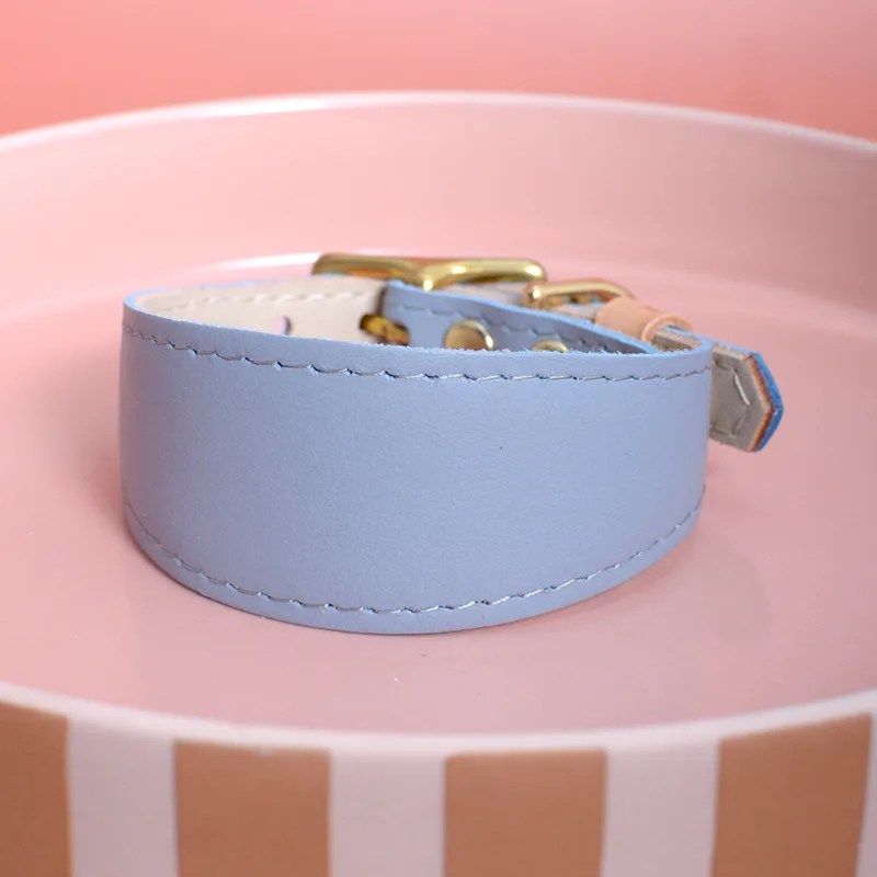 BLUE MATCHA collar (ellipse shape) — HEY DOG Co.