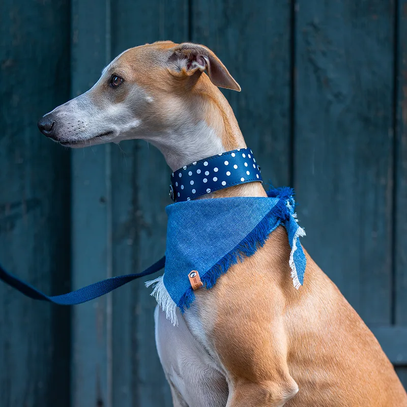 Denim Bandana — HEY DOG Co.
