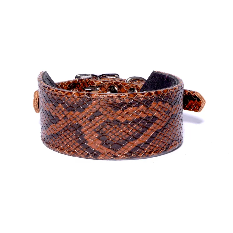 Snakeskin wide collar – Brown — HEY DOG Co.