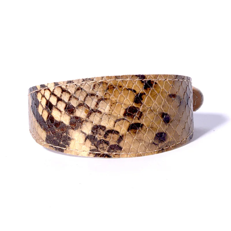 Snakeskin collar ellipse shape – Gold — HEY DOG Co.