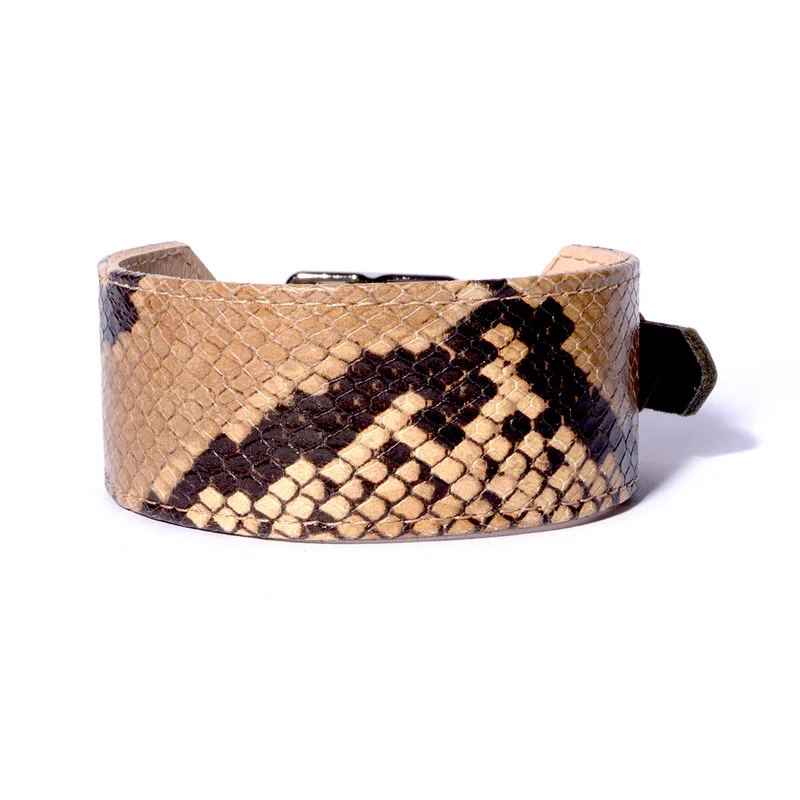 Snakeskin wide collar – Gold — HEY DOG Co.