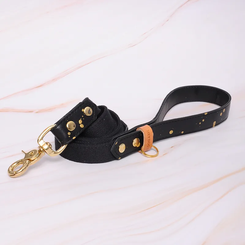 Gold Intergalactic leash — HEY DOG Co.