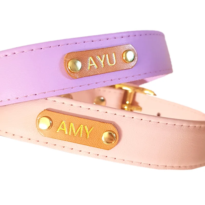 Gold or Silver name tag / złote lub srebrne imię — HEY DOG Co.