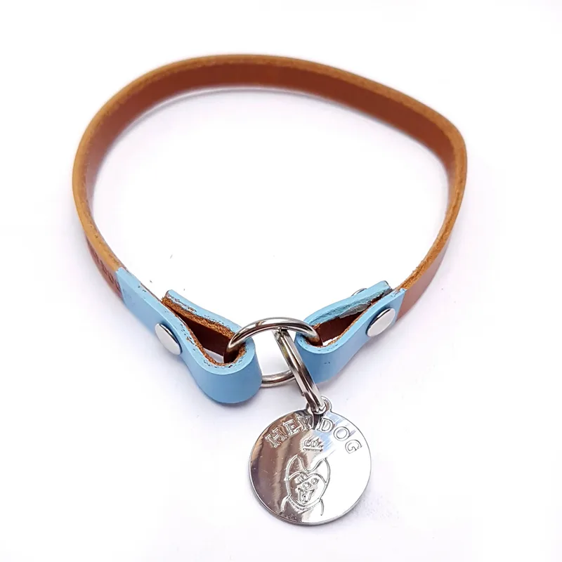Cognac + Pastel Blue — HEY DOG Co.