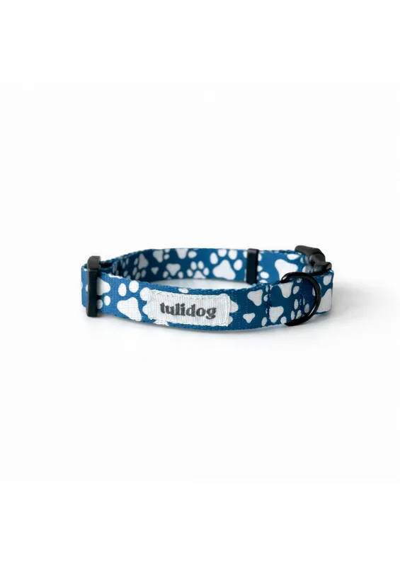 Obroża z klamrą „BLUE PAWER” — Tulidog