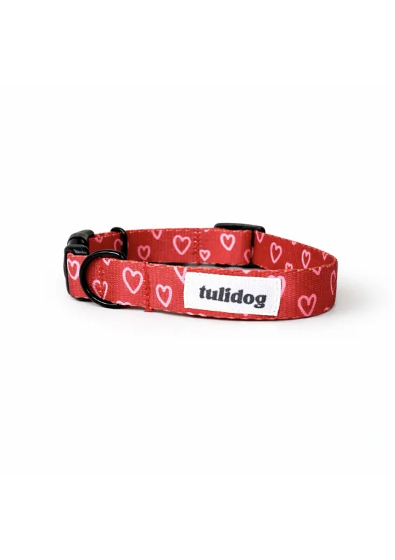 Obroża z klamrą „LOVE AMOUR” — Tulidog